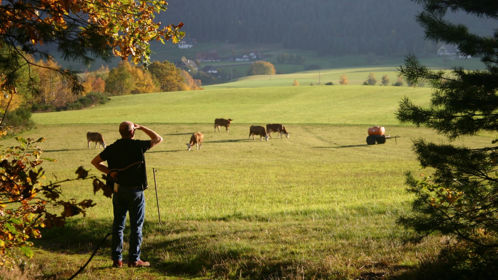 Helvetia Firmenkunden