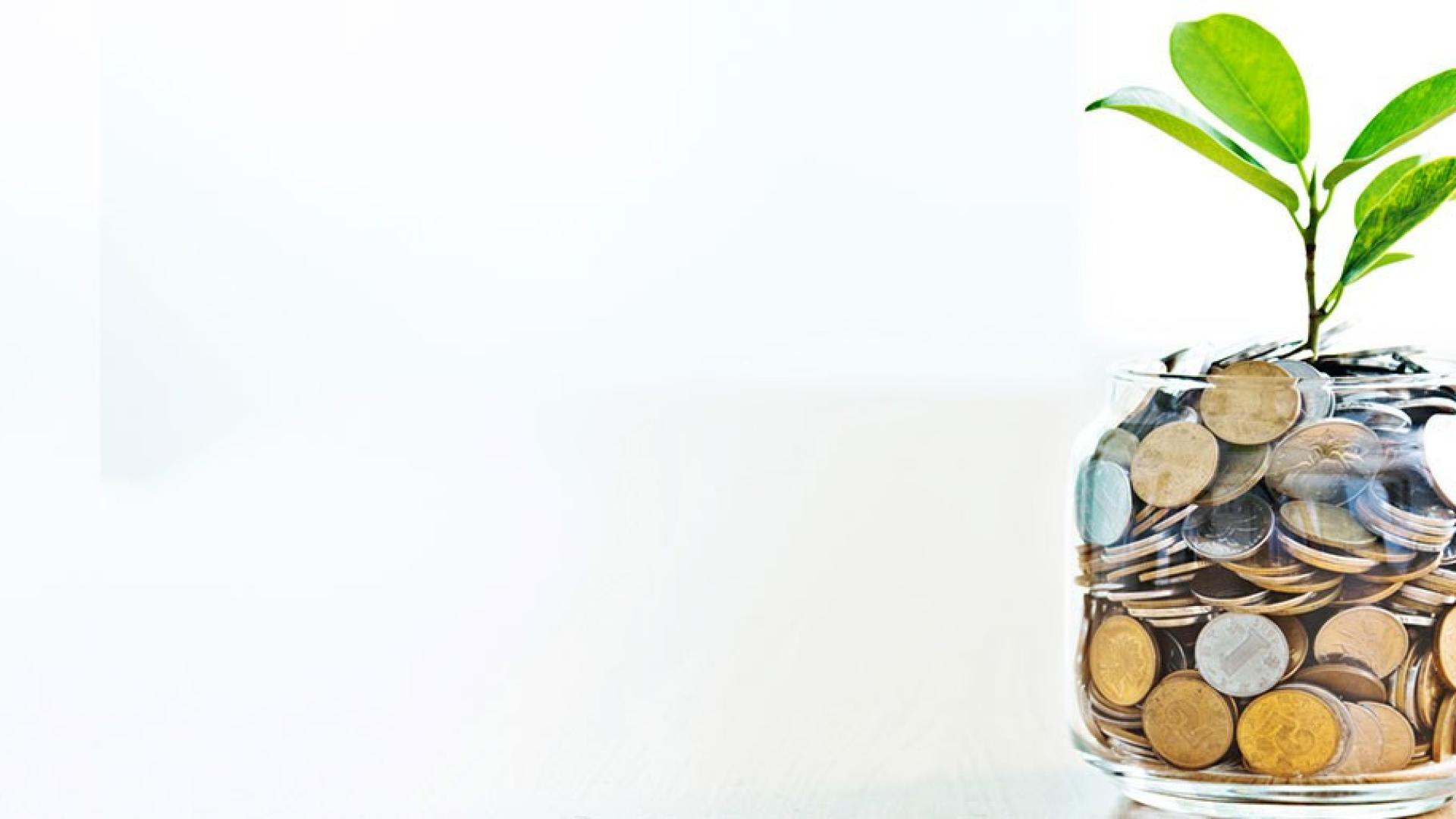 Ein Glas ist bis zum oberen Rand mit Geldmünzen gefüllt und aus dem Glas wächst eine Pflanze.