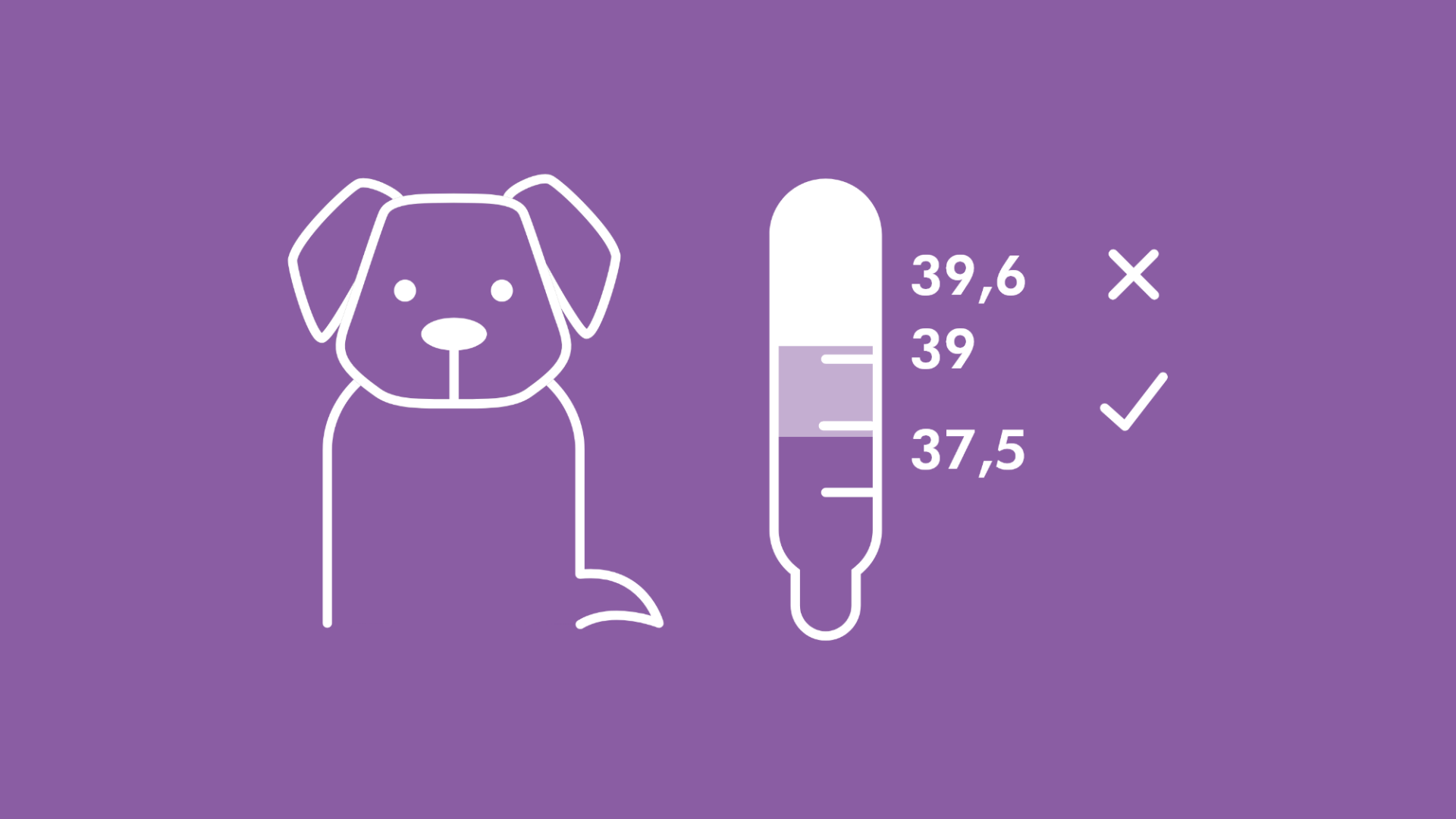 Auf dieser Abbildung ist neben einem Hund ein Thermometer zu sehen. Auf diesem ist die Spanne zwischen 37,5 und 39 Grad grün markiert – ab 39,6 Grad wird das Thermometer rot. Neben der normalen Körpertemperatur ist außerdem ein grüner Haken und bei Fieber ein rotes Kreuz zu sehen.