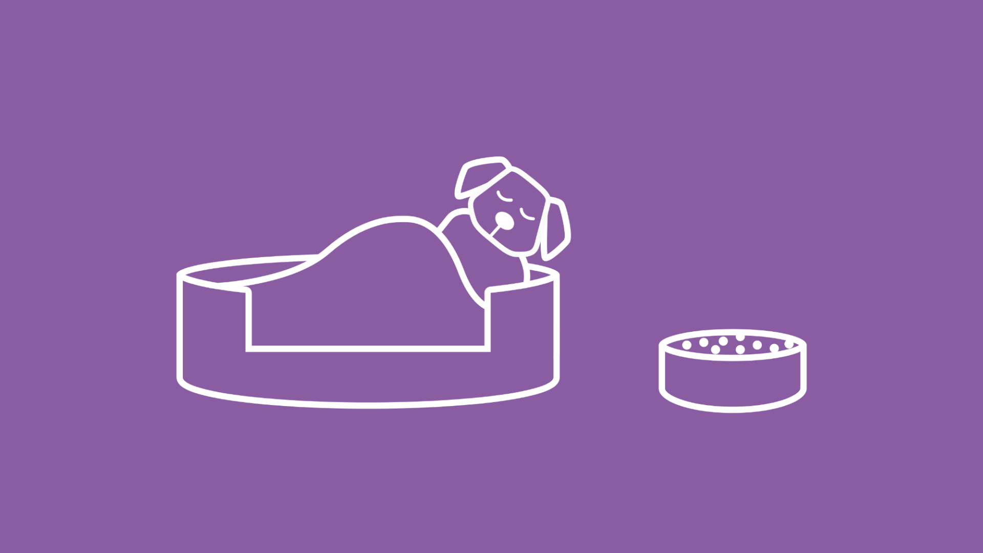 Ein schlafender Hund mit Leishmaniose hat einen vollen Napf neben sich.