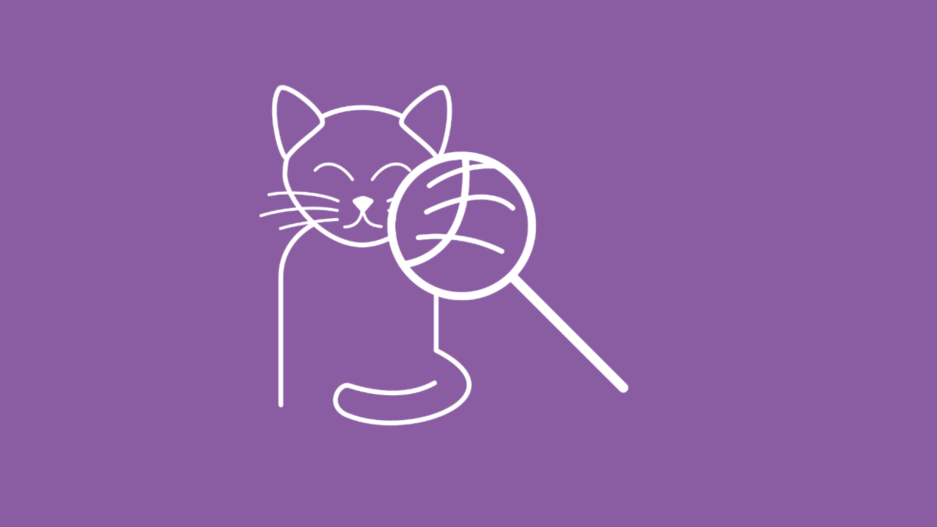 Die Suche nach der passenden Allergiker Katze wird hier durch eine Katze, vor die eine Lupe gehalten wird, illustriert