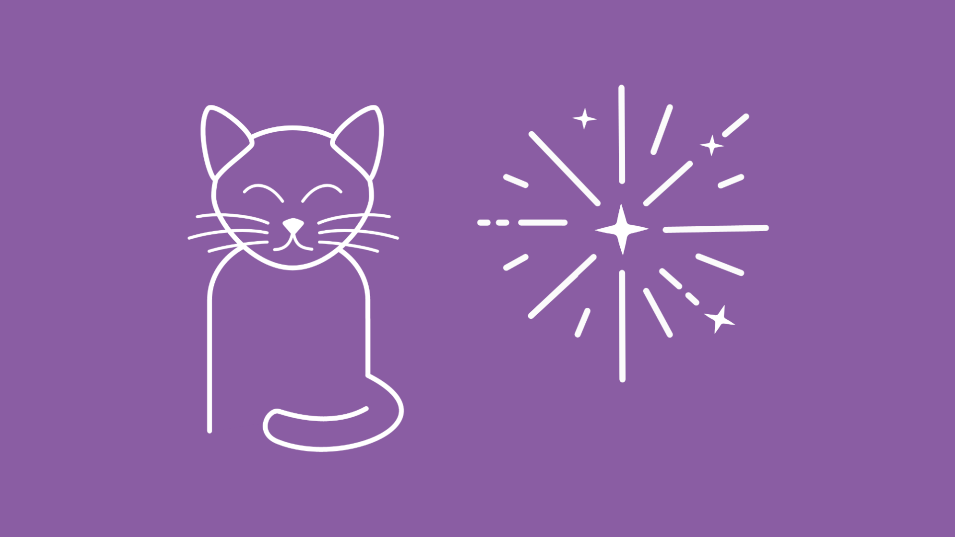Neben dem Kopf einer Katze explodiert an Silvester ein Feuerwerk