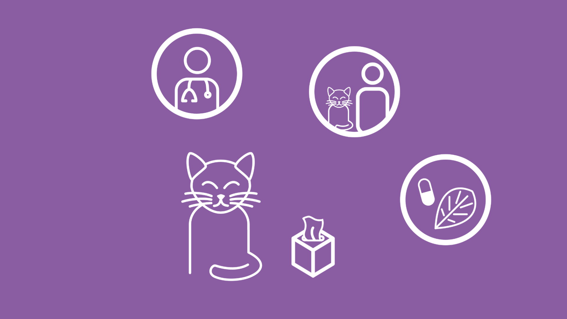 Eine Katze wird zusammen mit 3 Icons abgebildet, die die verschiedenen Behandlungsmöglichkeiten darstellen. 